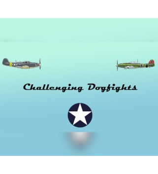 Challenging Dogfights Steam Key GLOBAL